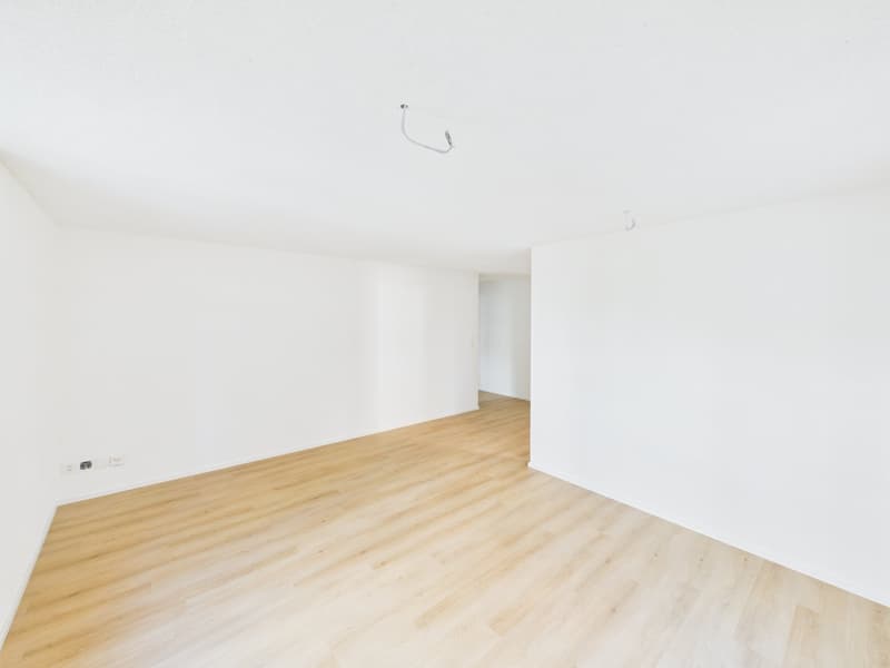 Appartement de 3,5 pièces rénové à neuf au cœur de St. Gallen (3)