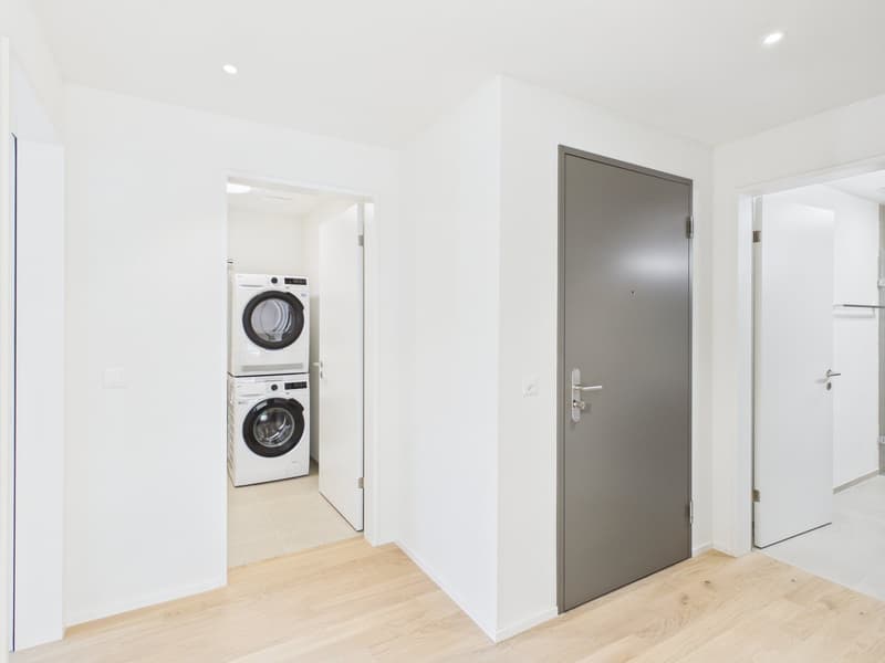 Moderne 4.5-Zimmer Attikawohnung (4)