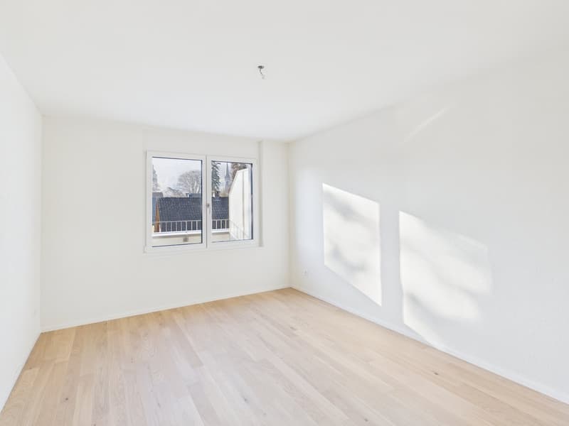Moderne 4.5-Zimmer Attikawohnung (6)