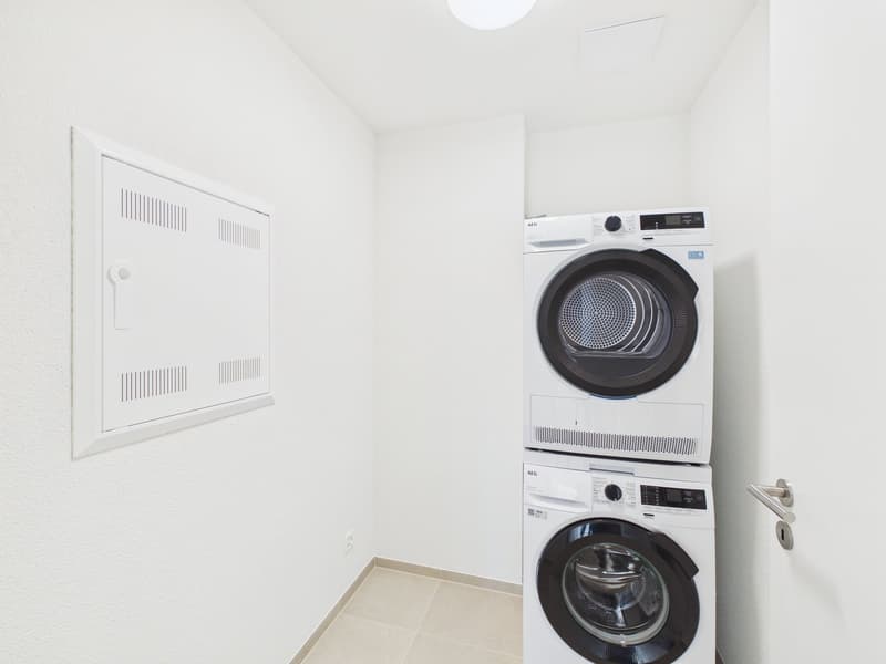 Moderne 4.5-Zimmer Attikawohnung (5)