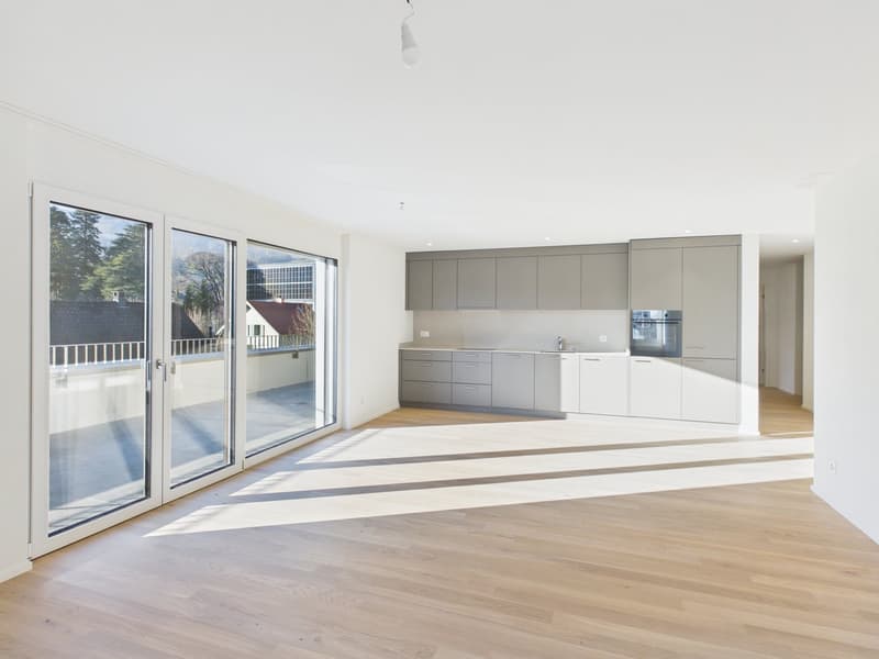 Moderne 4.5-Zimmer Attikawohnung (1)