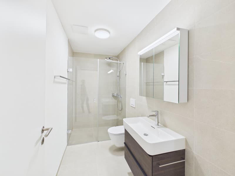Moderne 4.5-Zimmer Attikawohnung (3)