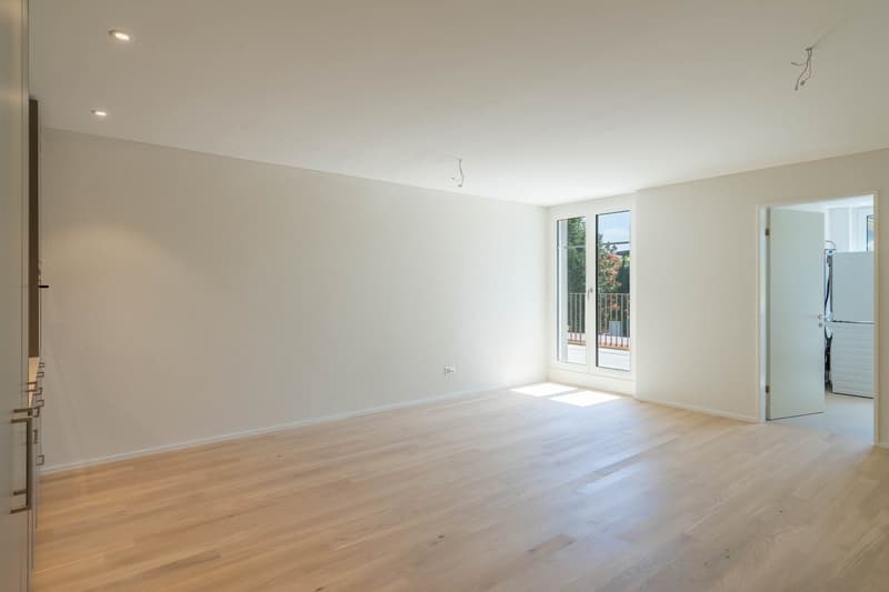 First-time occupancy after comprehensive core renovation! (2)