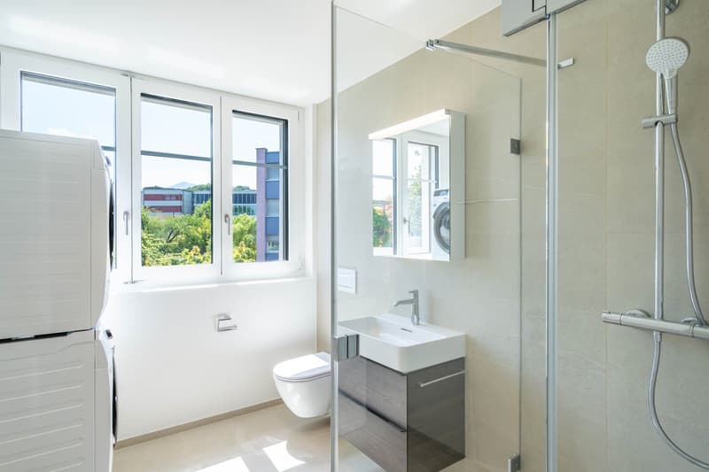 First-time occupancy after comprehensive core renovation! (3)