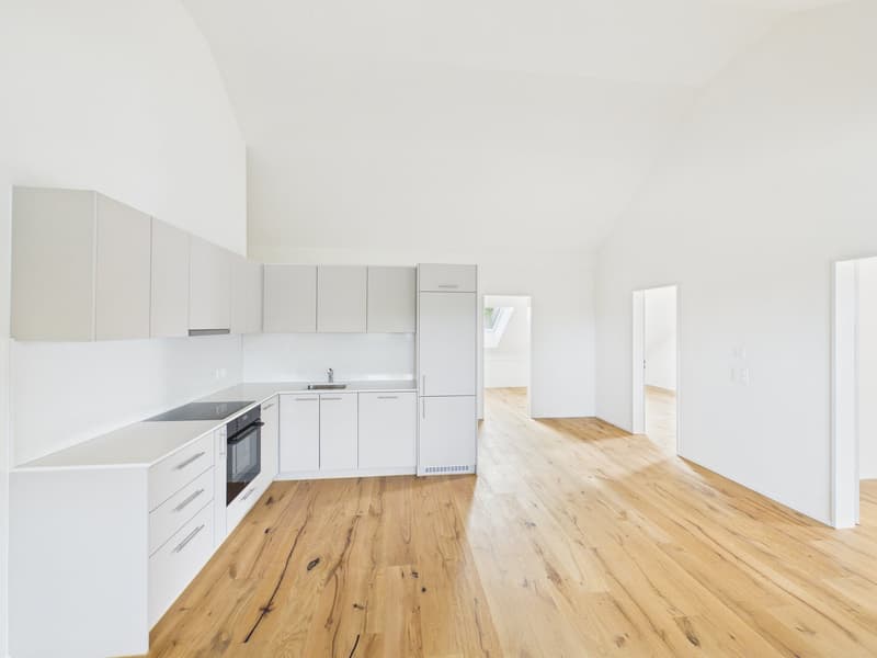 Appartamento mansardato moderno 3.5 locali a Märstetten (2)