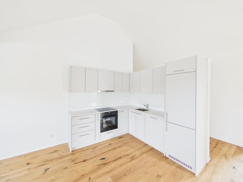 Appartamento mansardato moderno 3.5 locali a Märstetten (4)
