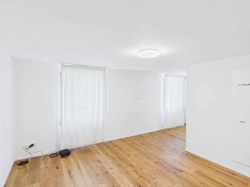 Moderne 1.5-Zimmer-Wohnung in Zentrumsnähe (3)