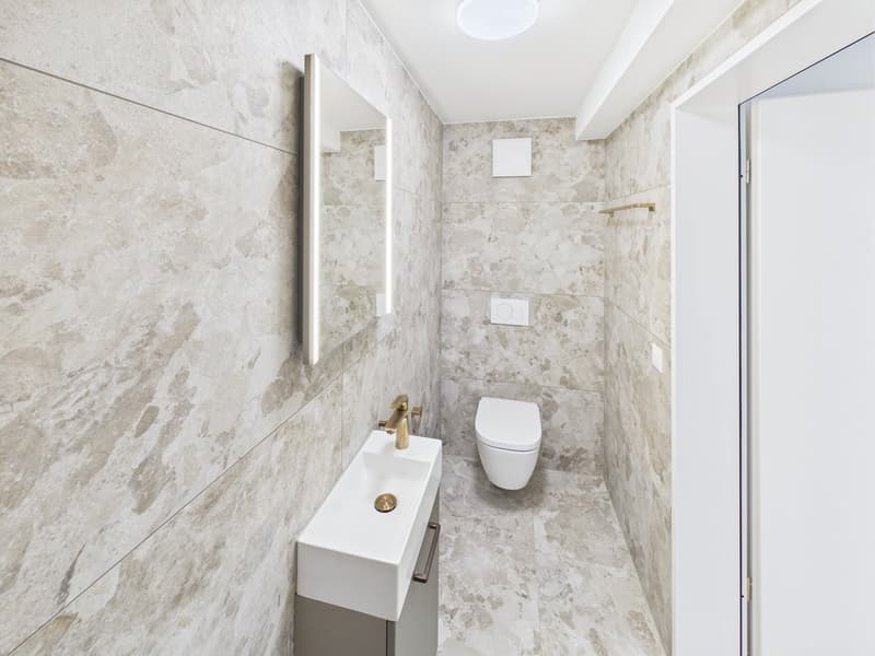 Erstvermietung: 5.5-Zimmer Maisonettewohnung mit Balkon in Winterthur (17)