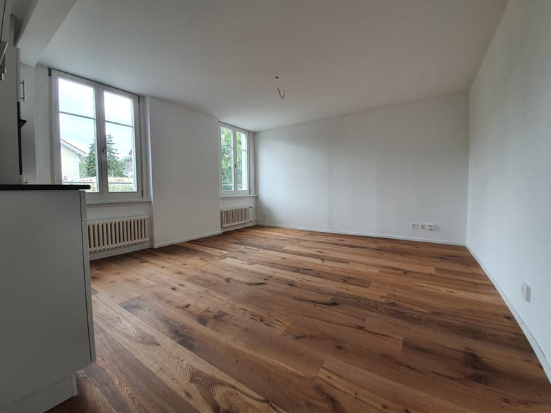 Moderne 1.5-Zimmerwohnung mit viel Tageslicht (2)