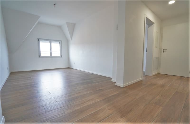 Moderne 4.5-Zimmer Wohnung (2)