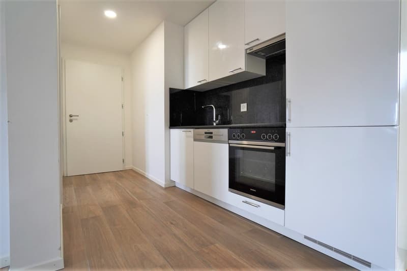 Moderne 4.5-Zimmer Wohnung (1)