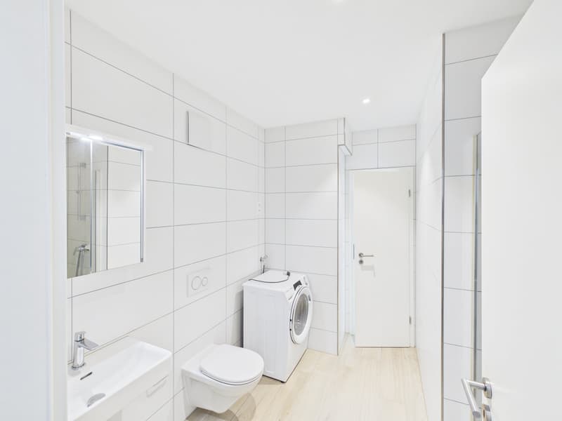 Gemütliche 2.5-Zimmer Dachwohnung (5)