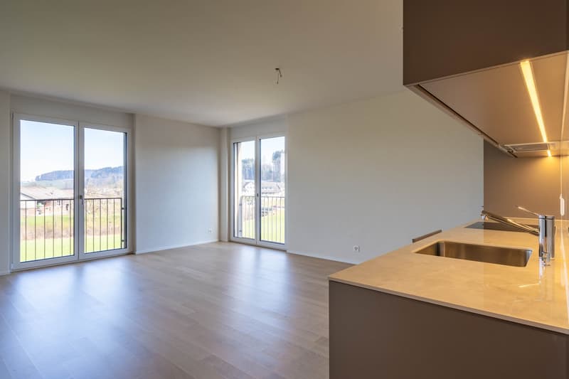 Neuwertige 3.5-Zimmer-Wohnung (3)