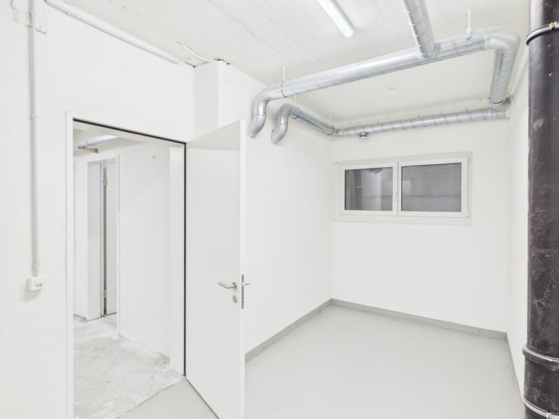 Grosszügige Lagerfläche mit 130 m² in Altstätten SG (4)