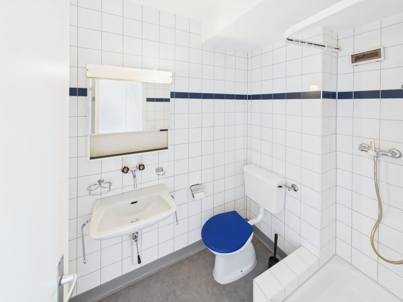 Charmante 2-Zimmer-Dachwohnung an der Teufener Strasse (4)