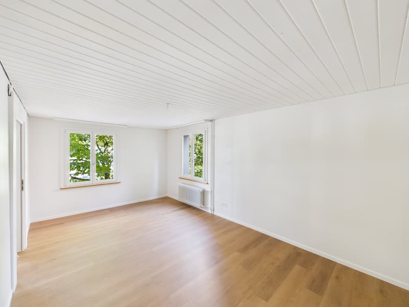 Renovierte 3.5-Zimmer-Altbauwohnung an der Sankt Jakob-Strasse (8)