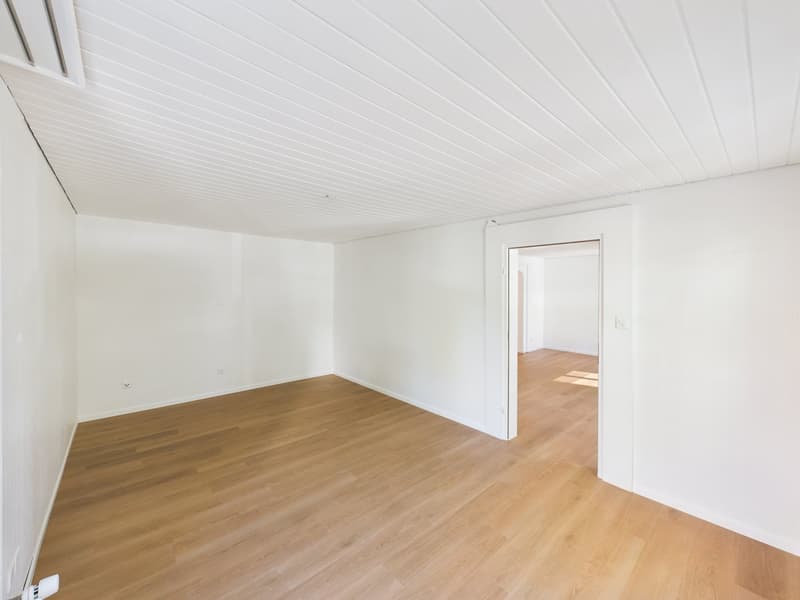 Renovierte 3.5-Zimmer-Altbauwohnung an der Sankt Jakob-Strasse (7)