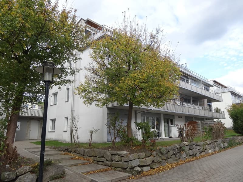 Renovierte 3.5-Zimmer-Wohnung mit Balkon und schöner Aussicht (13)