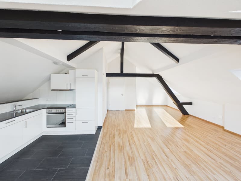 Charmante 1.5-Zimmer-Dachwohnung im Herzen von St. Gallen (3)