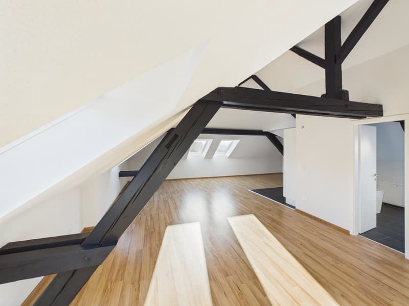 Charmante 1.5-Zimmer-Dachwohnung im Herzen von St. Gallen (11)