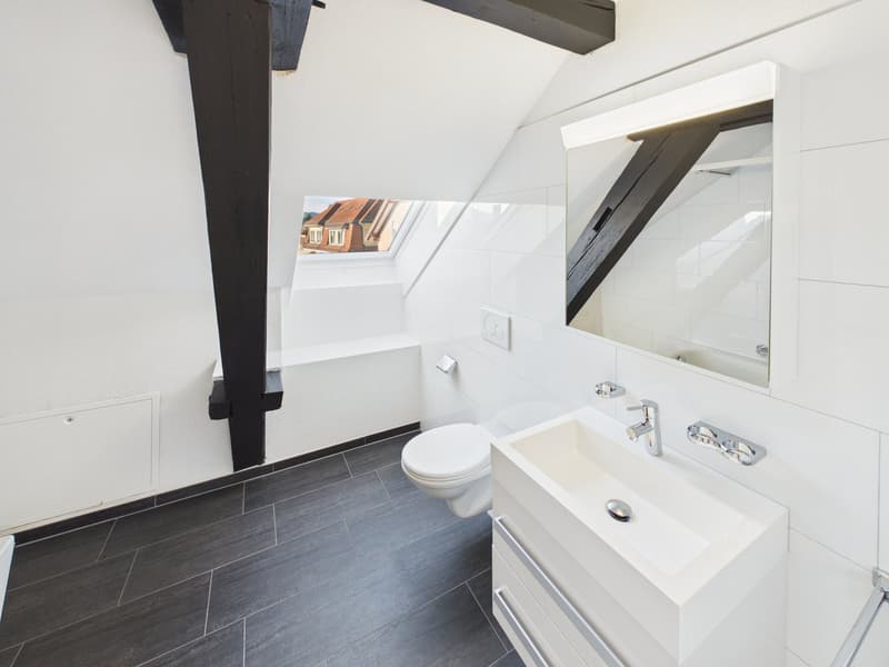 Charmante 1.5-Zimmer-Dachwohnung im Herzen von St. Gallen (6)