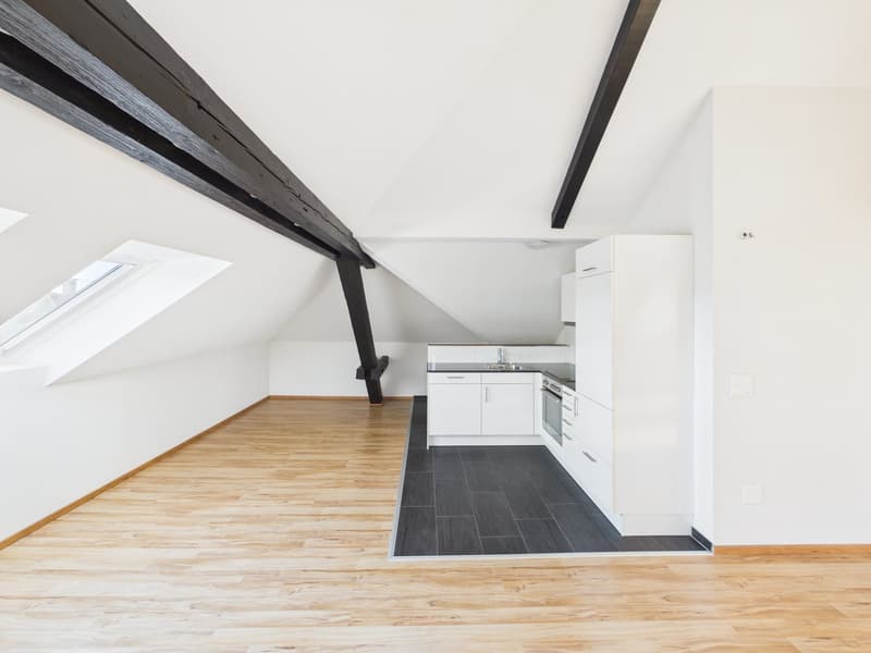 Charmante 1.5-Zimmer-Dachwohnung im Herzen von St. Gallen (7)