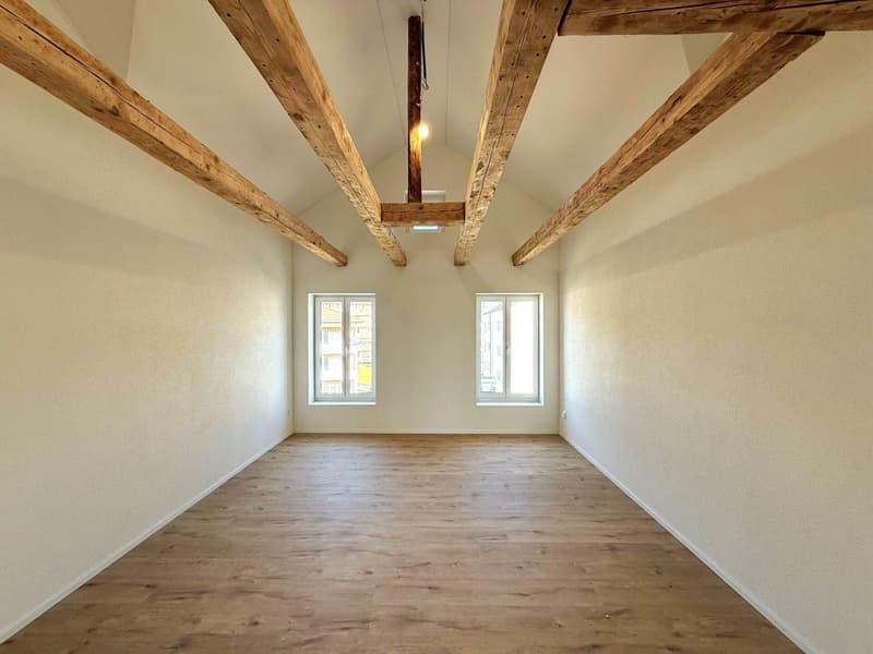 Charmante 3.5-Zimmer-Dachwohnung in Goldach (3)