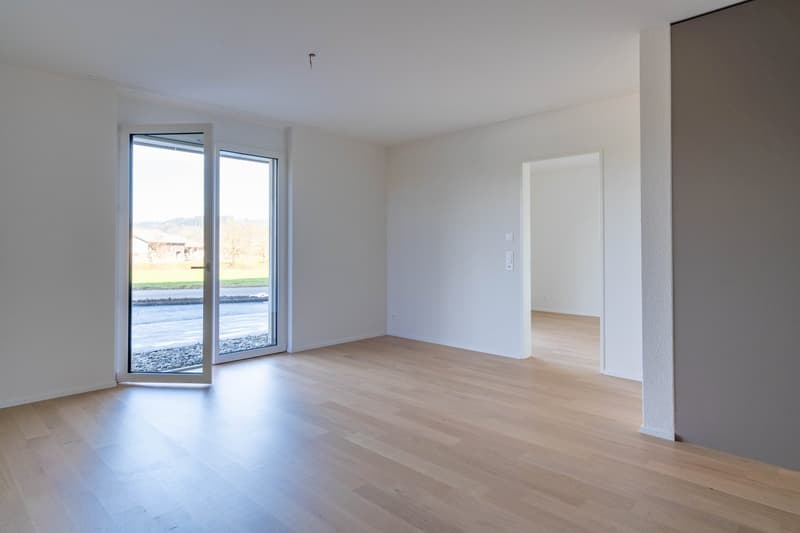 Moderne 2.5-Zimmer-Wohnung an ruhiger Lage (3)