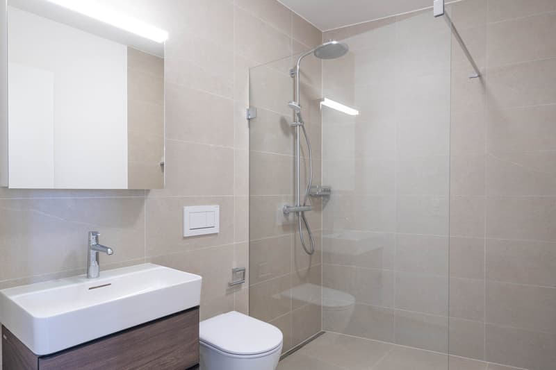 Moderne 2.5-Zimmer-Wohnung an ruhiger Lage (4)