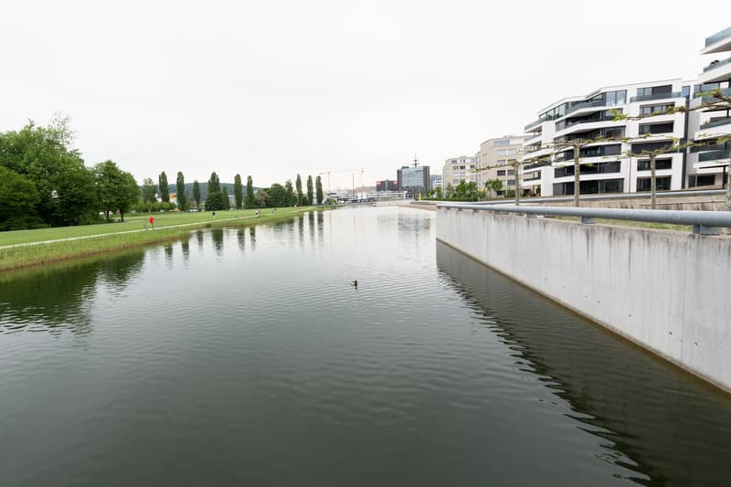 Modern 4.5-room apartment with balcony in Opfikon (Glattpark) – available immediately! (2)