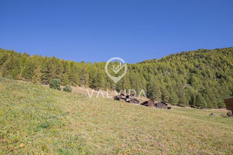 Building land in sunny location in Gspon (2)