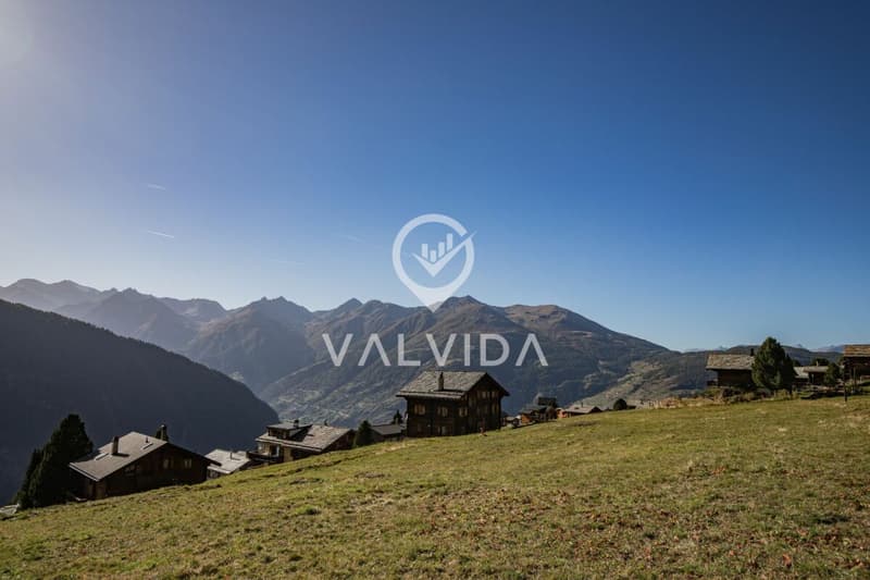 Building land in sunny location in Gspon (1)