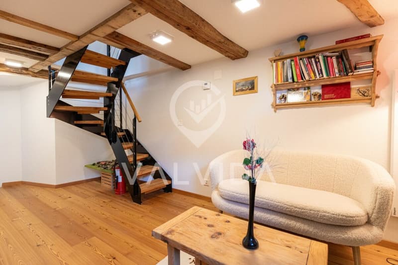 Tradizione incontra Modernità - appartamento di 5,5 locali ristrutturato con amore e orto (8)