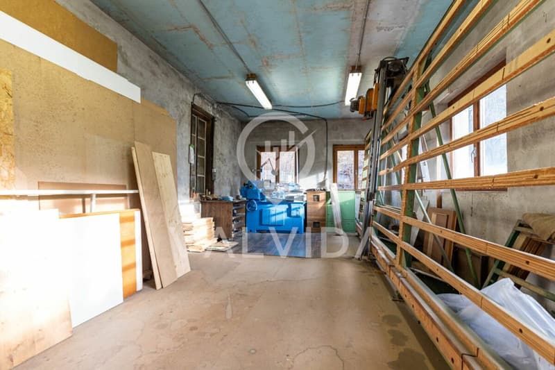 Propriété commerciale polyvalente - ancienne menuiserie à Kalpetran (6)