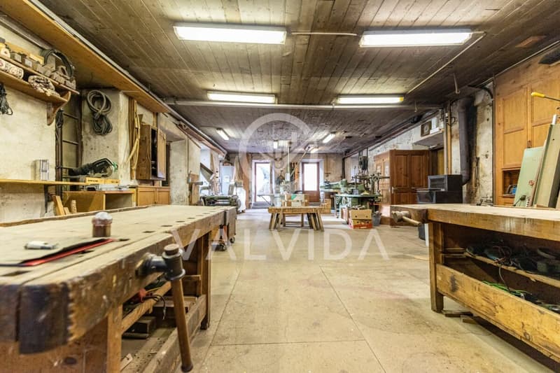 Propriété commerciale polyvalente - ancienne menuiserie à Kalpetran (9)