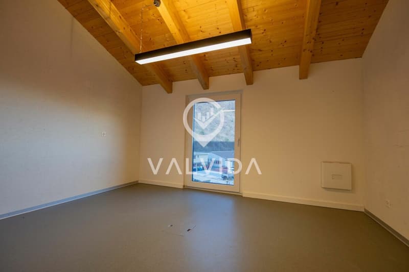 Espace commercial attractif dans un emplacement central à Visp (12)