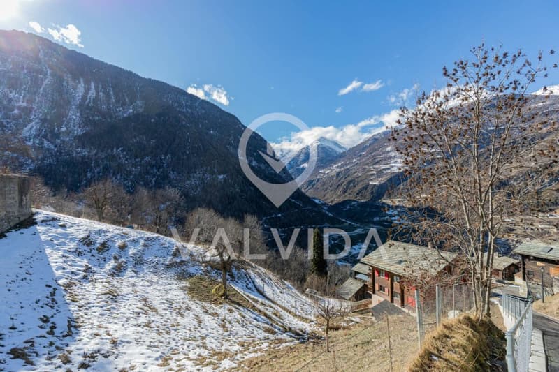 Welcome to Staldenried - the sunroom of the Vispertal (4)