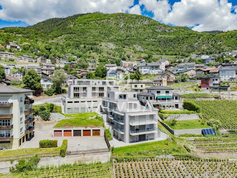 Appartamento 3.5 locali in affitto (2)