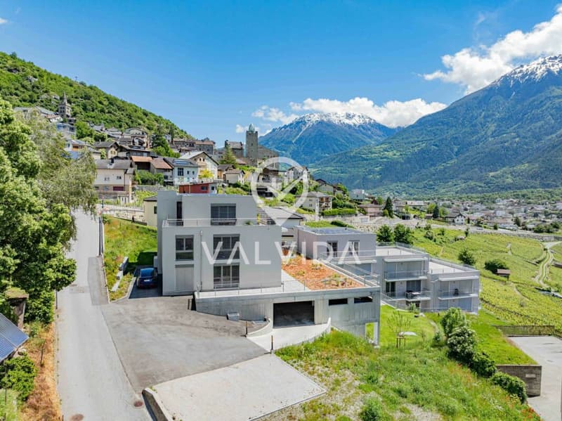 Appartamento 3.5 locali in affitto (13)