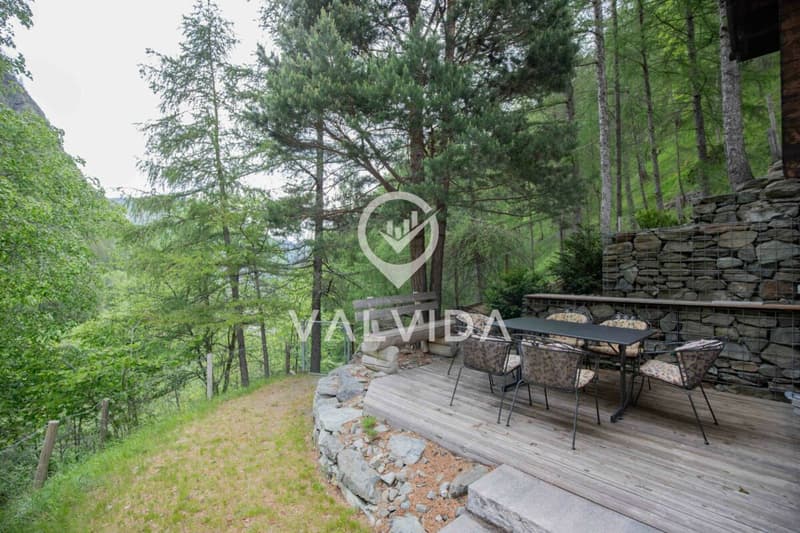 Natur pur - Ferienhaus in malerischer, ruhiger Lage (13)