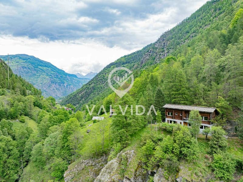 Natur pur - Ferienhaus in malerischer, ruhiger Lage (12)