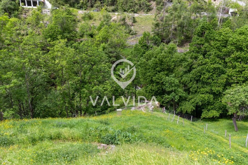 Natur pur - Ferienhaus in malerischer, ruhiger Lage (16)