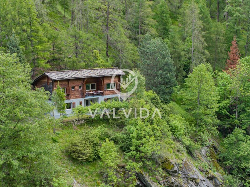 Natur pur - Ferienhaus in malerischer, ruhiger Lage (1)