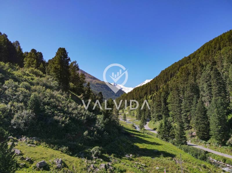 Rare opportunity in the Turtmanntal - Chalet in a dream location (13)