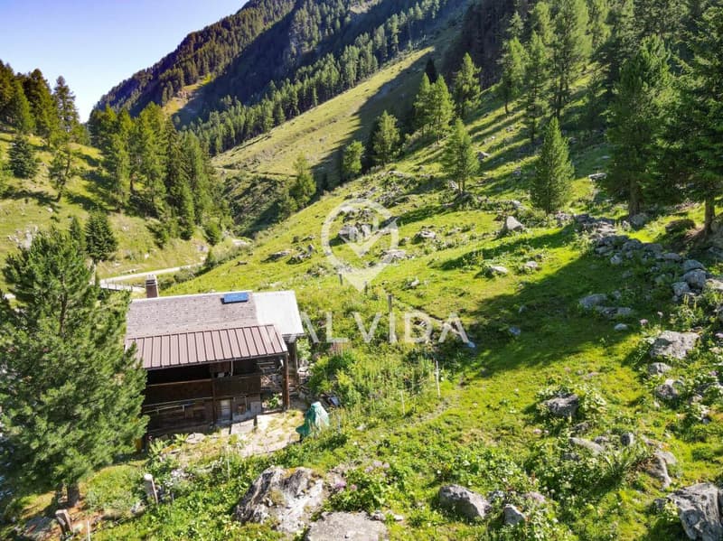 Rare opportunity in the Turtmanntal - Chalet in a dream location (11)