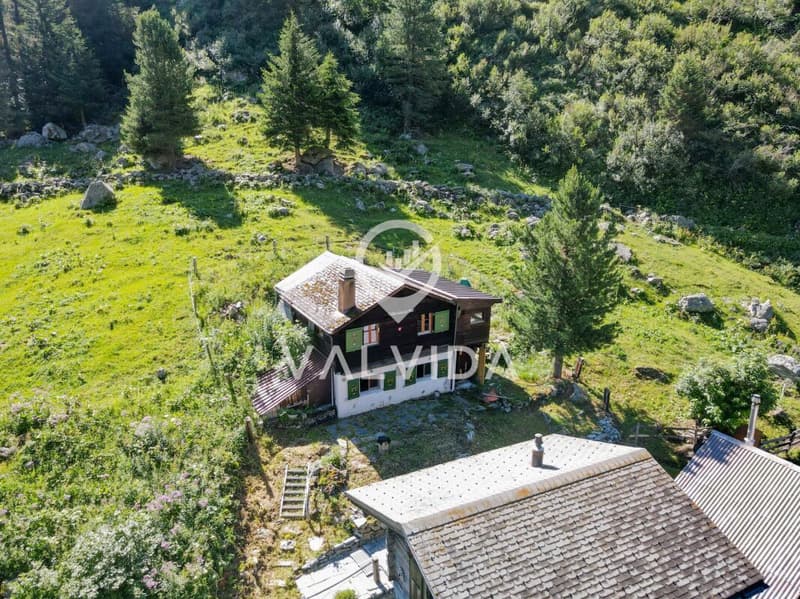 Rare opportunity in the Turtmanntal - Chalet in a dream location (3)