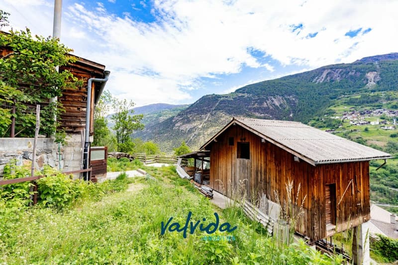 Economic building with stable and separate barn above Stalden in a quiet location (3)