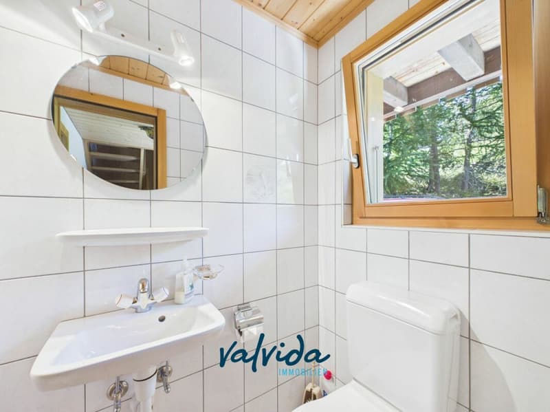 Charmantes, alleinstehendes Chalet mit viel Umschwung in Unterbäch (8)