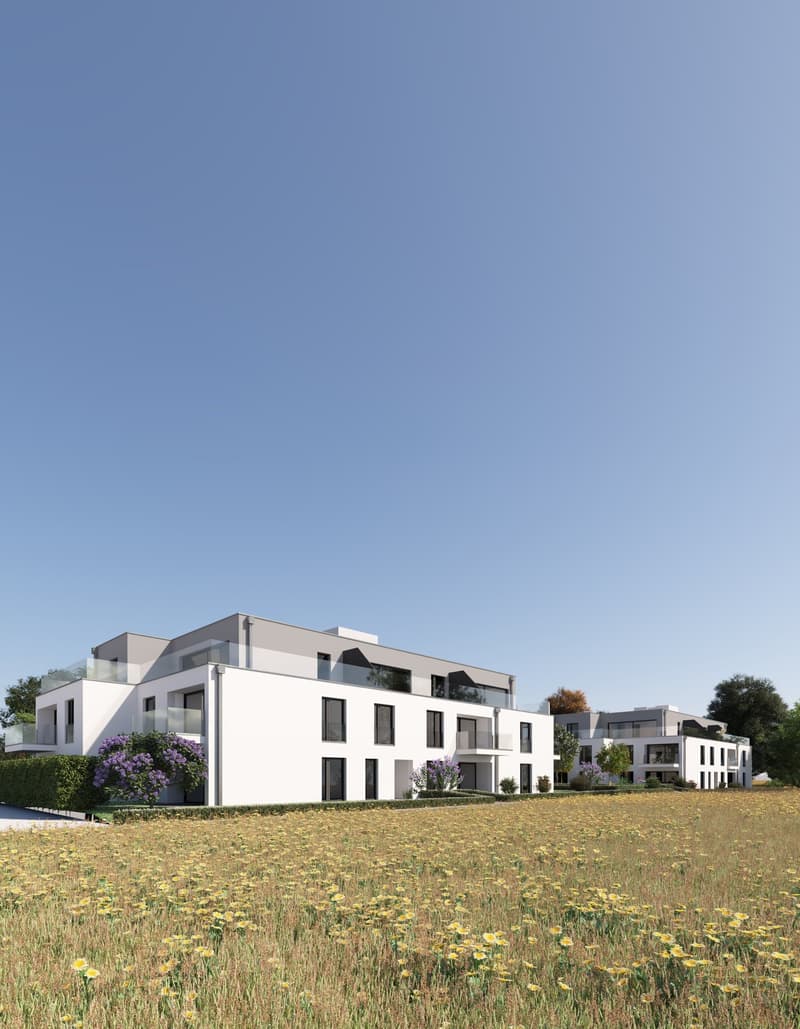 Modern, multi-story apartment building with white exterior, large windows, and balconies. The building is situated on a grassy field with yellow flowers.