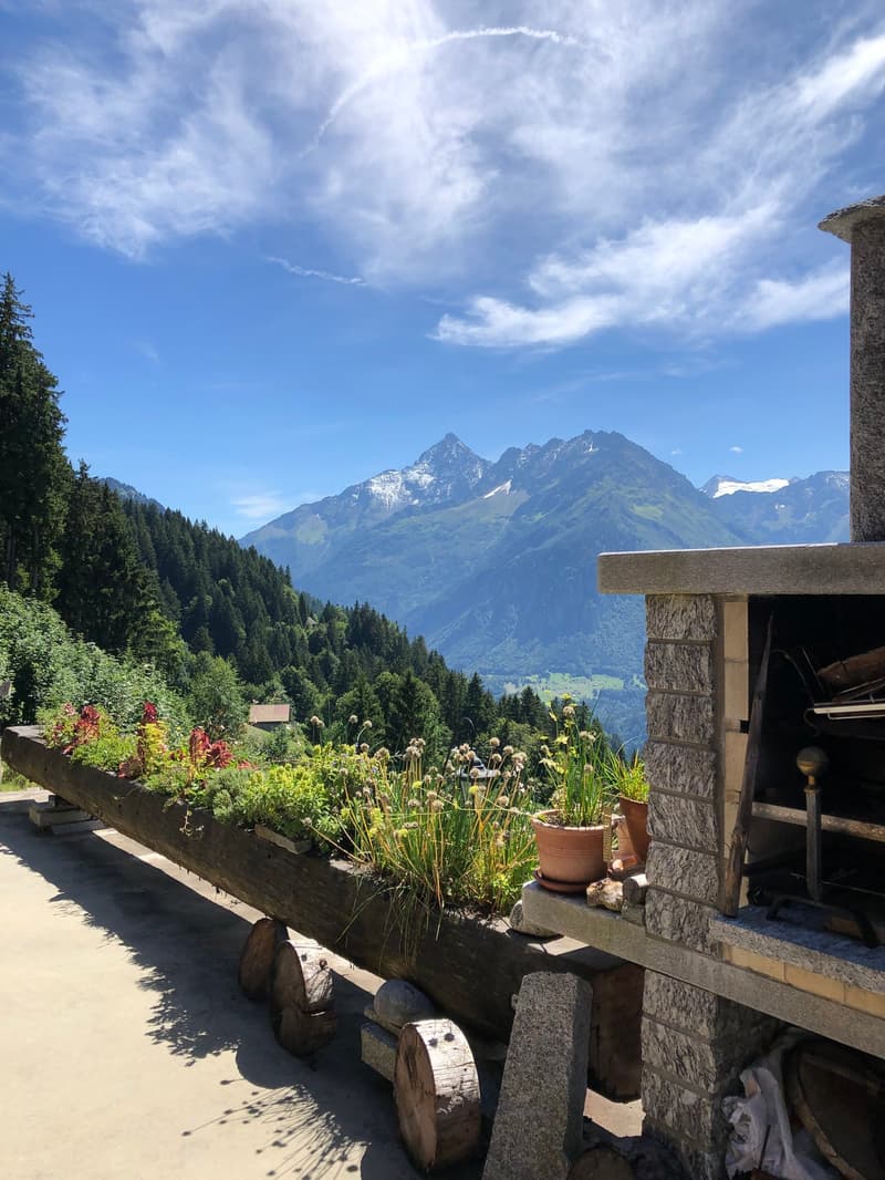 log bench with plants, outdoor fireplace, beautiful mountain view